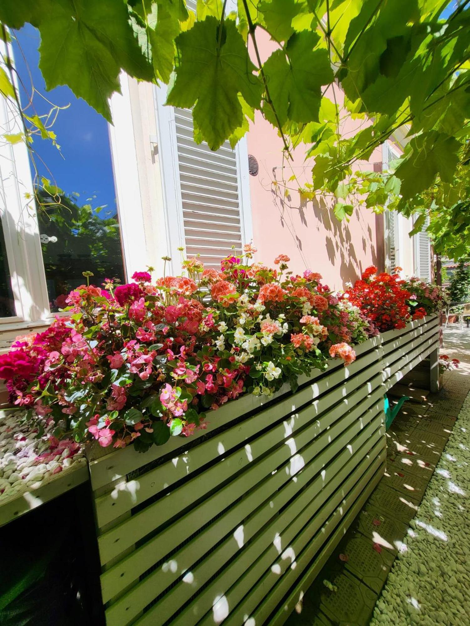 Hotel Il Buen Retiro Lucca Exteriér fotografie