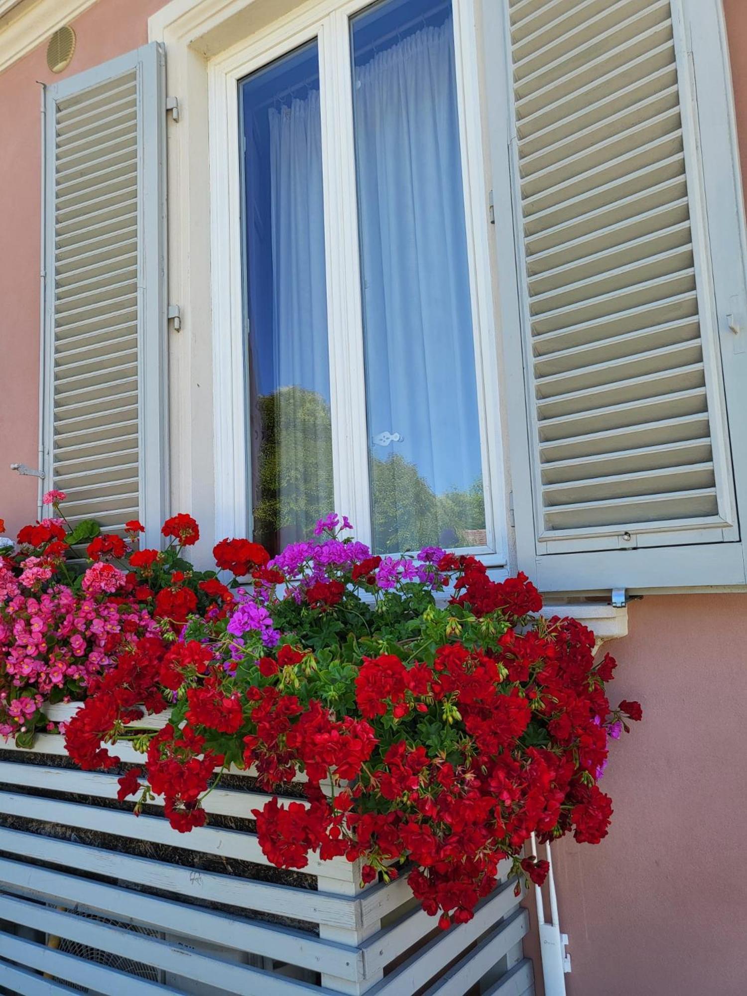 Hotel Il Buen Retiro Lucca Exteriér fotografie